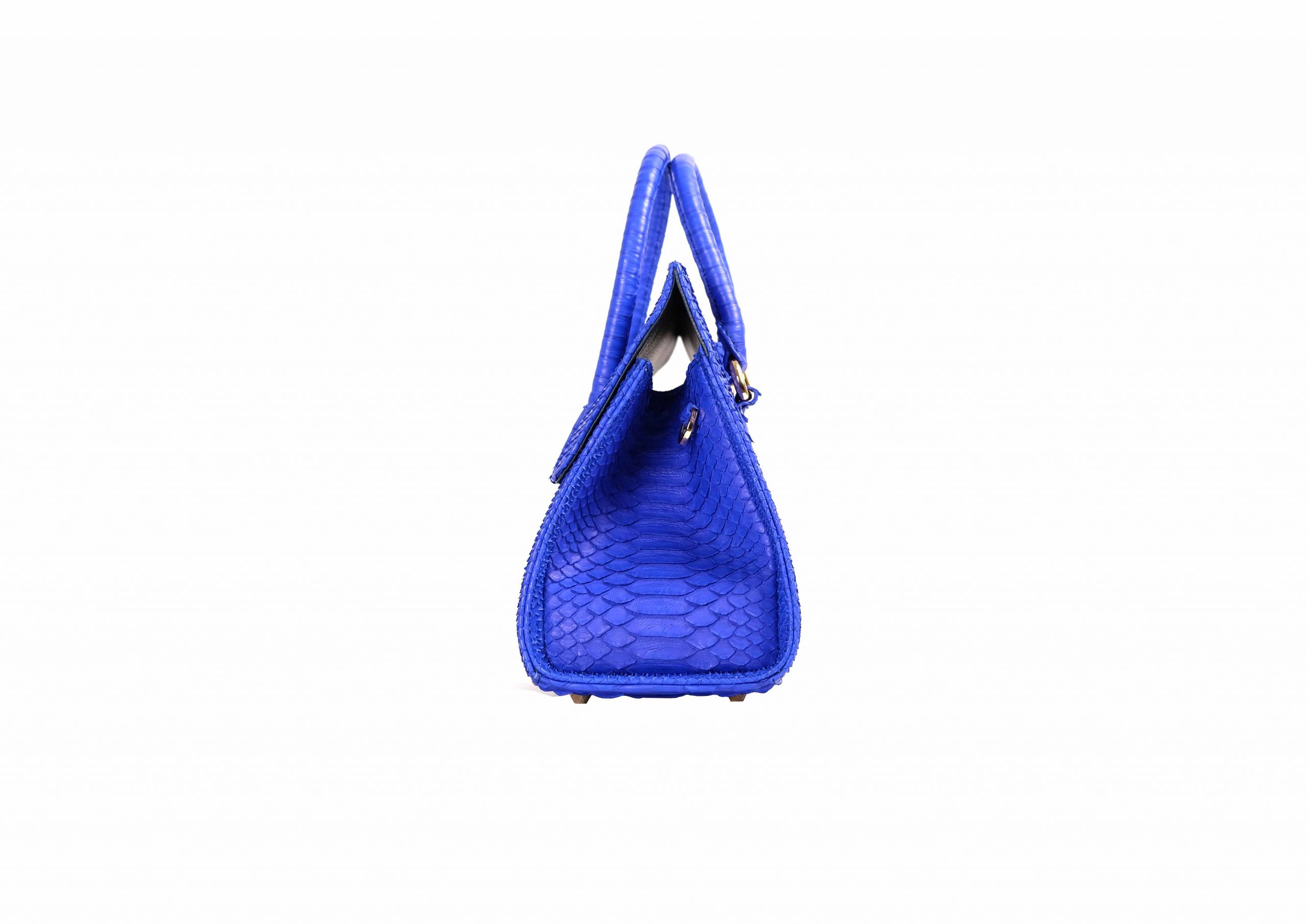 Adriana Small in Electric Blue - Image 6