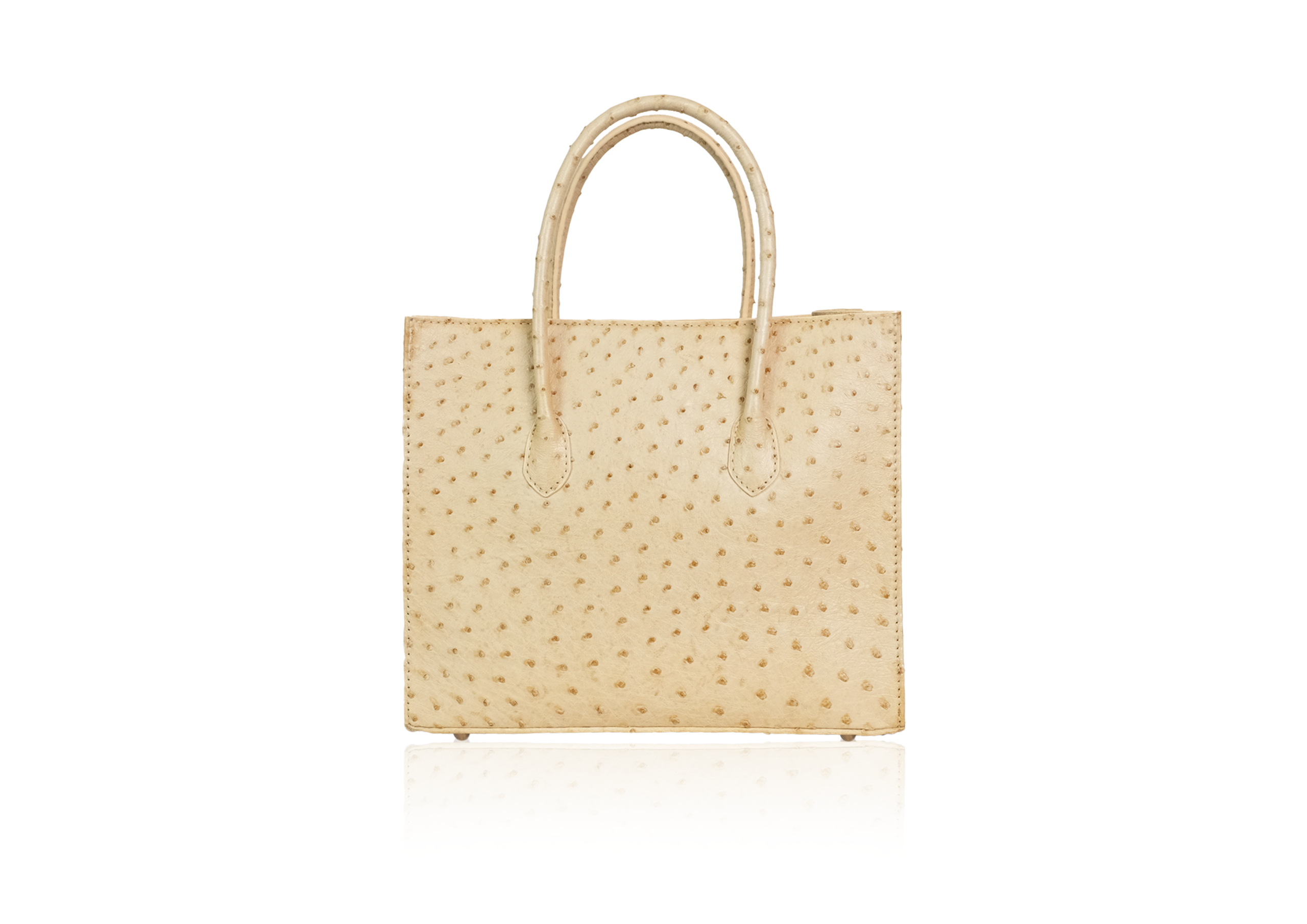 Roomy Tote Bag in Peanut Ostrich