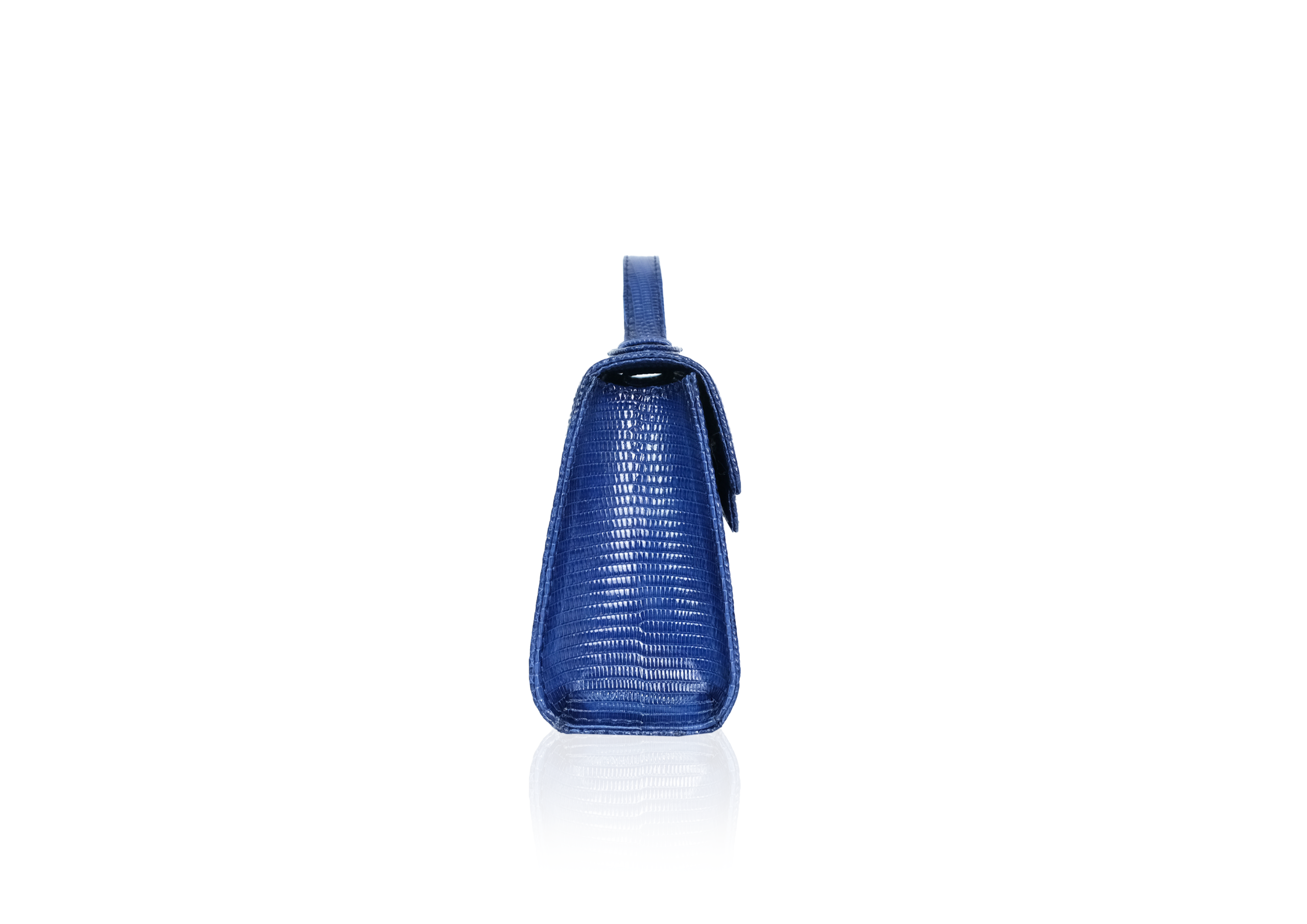 Luna 25 Blue Saphire Lizard - Image 3